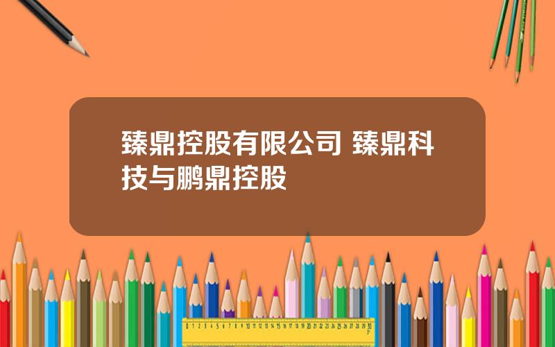 臻鼎控股有限公司 臻鼎科技与鹏鼎控股